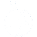 Antelope Enterprise Holdings Limited logo