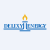 Delixy Holdings Limited Ordinary Shares logo