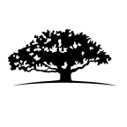 BRP Inc. logo