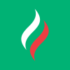 PJSC Tatneft logo