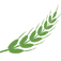 Sadot Group Inc. logo