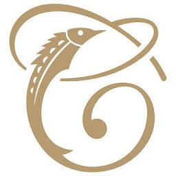 Top Wealth Group Holding Limited Ordinary Shares logo